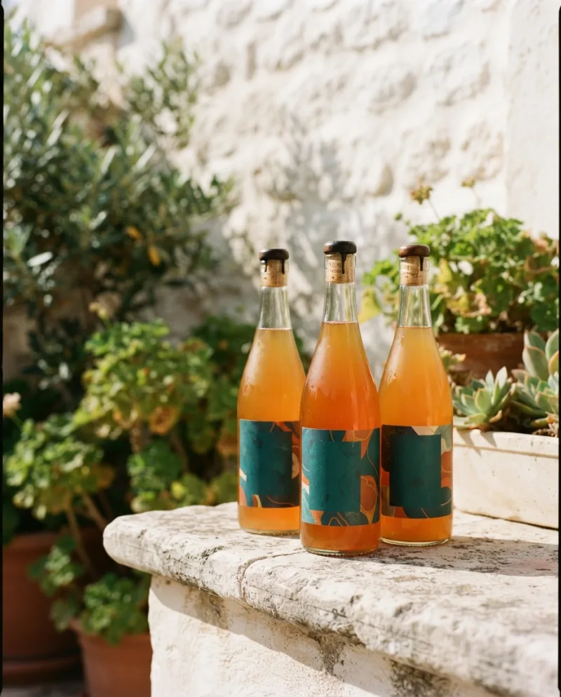 Tres botellas de kombucha sobre una repisa de piedra clara, con plantas desenfocadas al fondo.